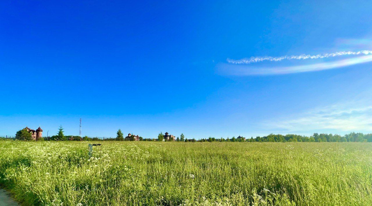 земля р-н Конаковский д Вахромеево ул. Тупиковая фото 2