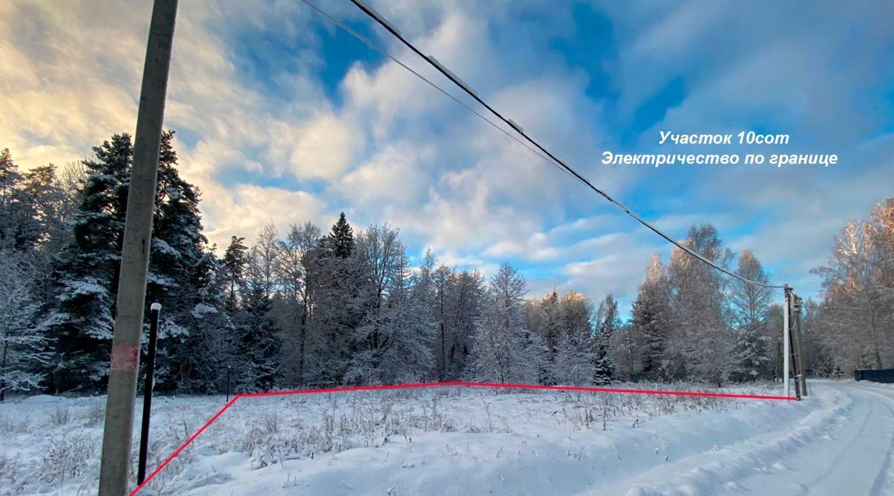 земля городской округ Раменский Гжельский лес кп фото 1