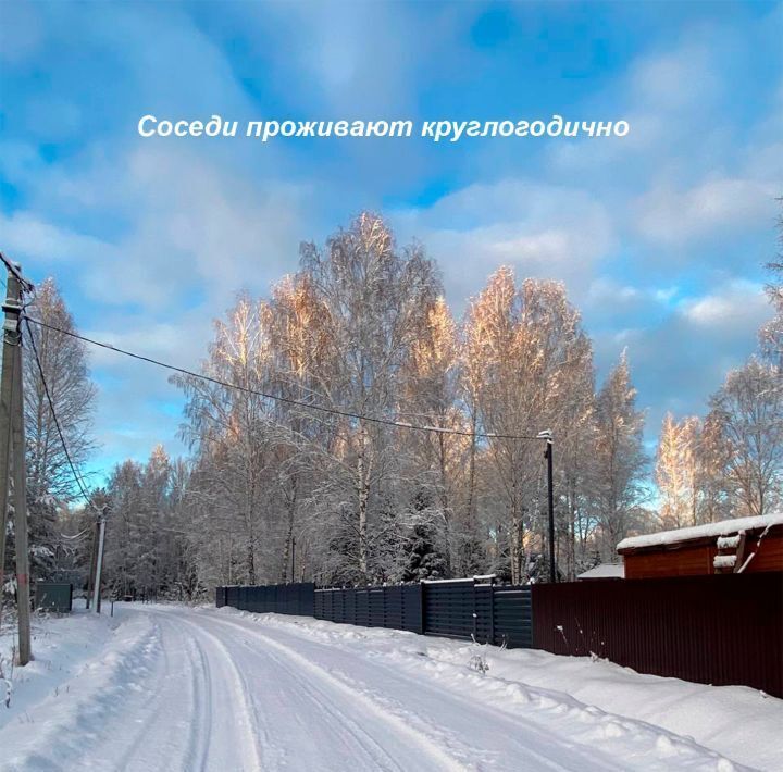 земля городской округ Раменский Гжельский лес кп фото 4