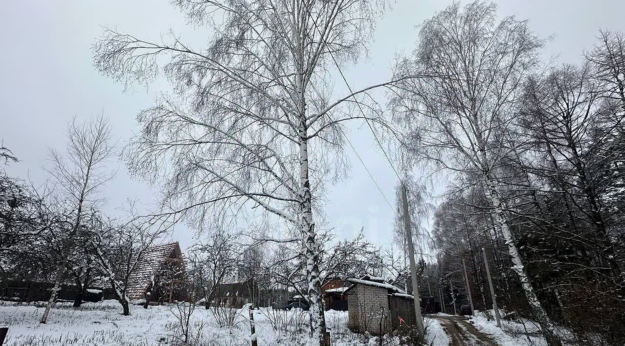 земля р-н Брянский п Верный Путь снт Урожайное пос, садоводческое объединение, Снежское с фото 2