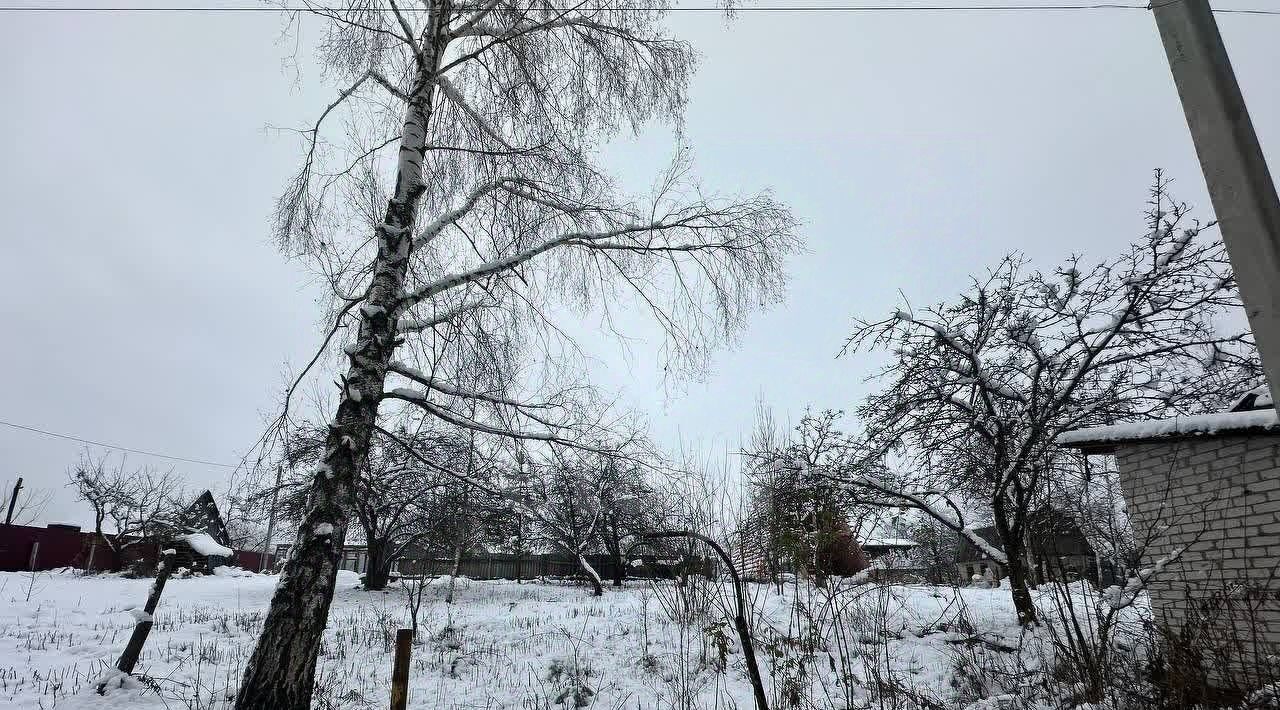 земля р-н Брянский п Верный Путь снт Урожайное пос, садоводческое объединение, Снежское с фото 3