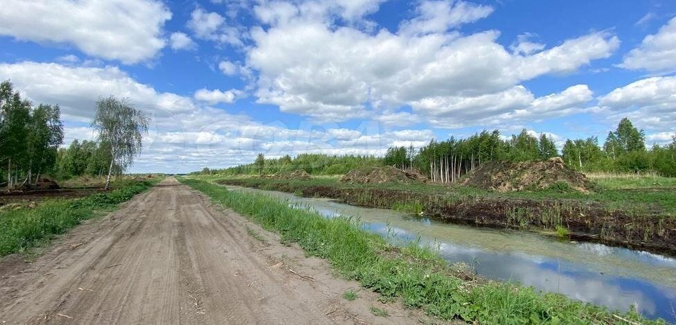 земля р-н Нижнетавдинский снт Стройтранссервис ул Рябиновая фото 1