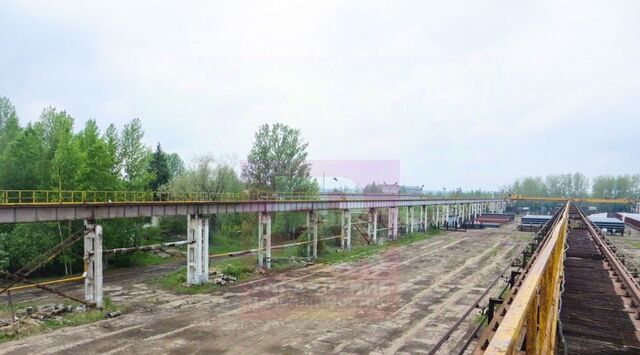 с пос, 1Б, Ярославский район, Некрасовское фото