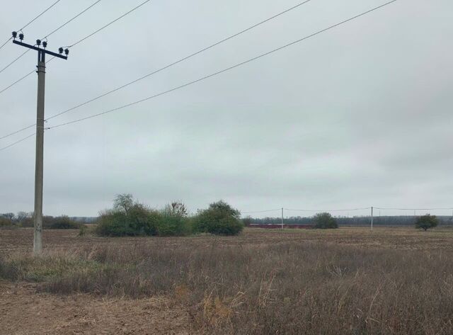 потребительский садово-огороднический кооператив фото