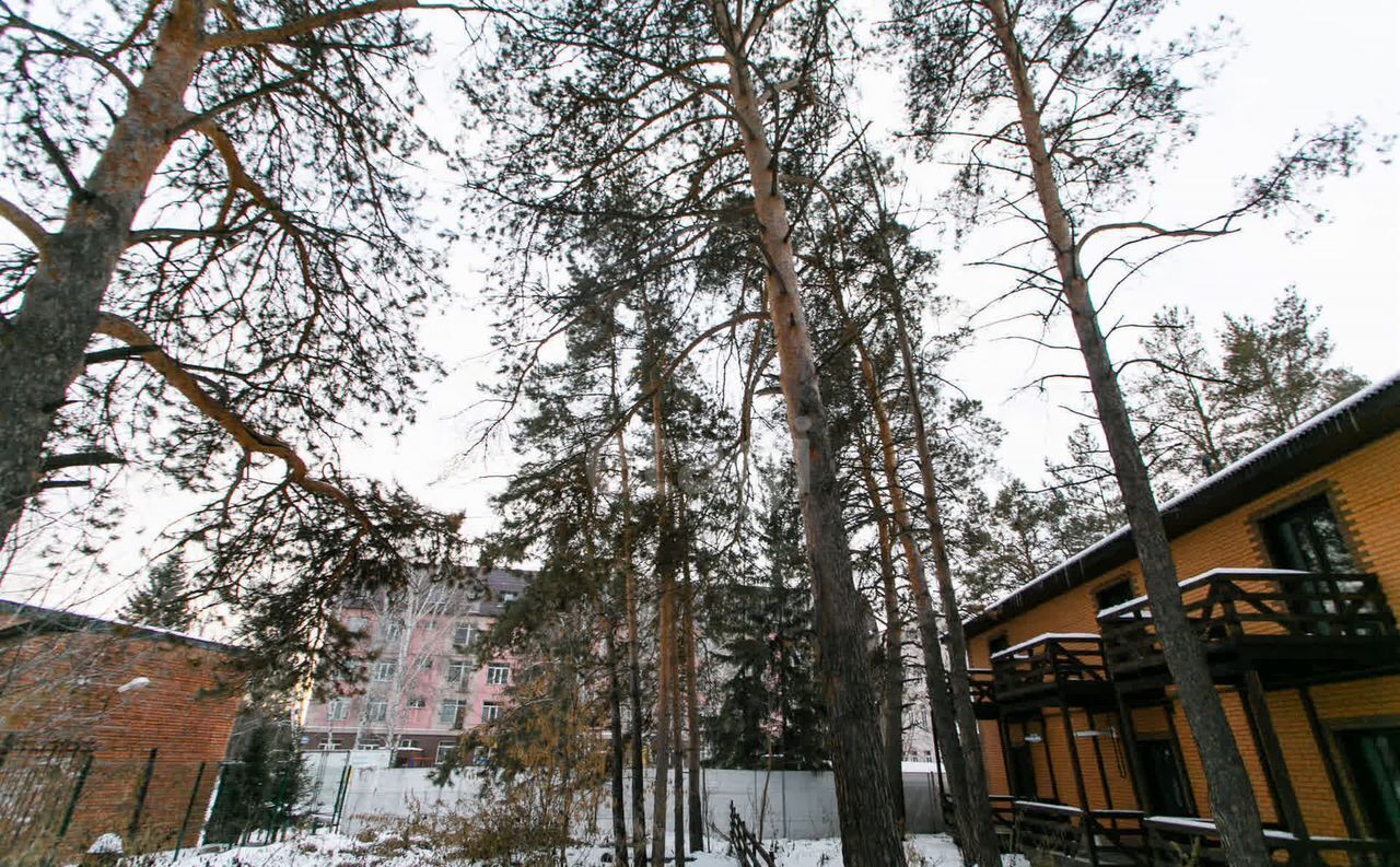 дом р-н Новосибирский дп Кудряшовский сельсовет, дп. Кудряшовский фото 23