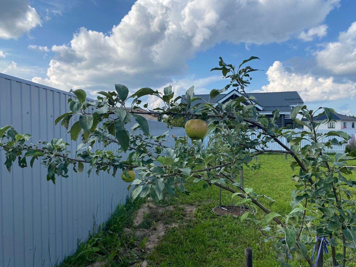 дом направление Рижское (северо-запад) ш Новорижское городской округ Истра, Сычево фото 39