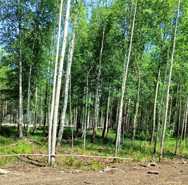 земля г Полевской с Курганово ул Прибрежная 24 фото 4