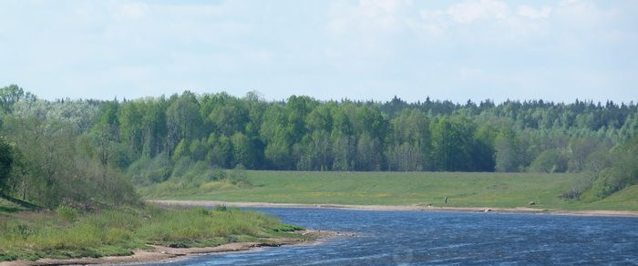 земля р-н Калининский д Мухино-Городище фото 3