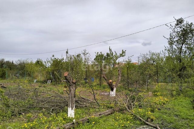 г Тамбов р-н Октябрьский городской округ Тамбов, СНТ Тюльпан фото