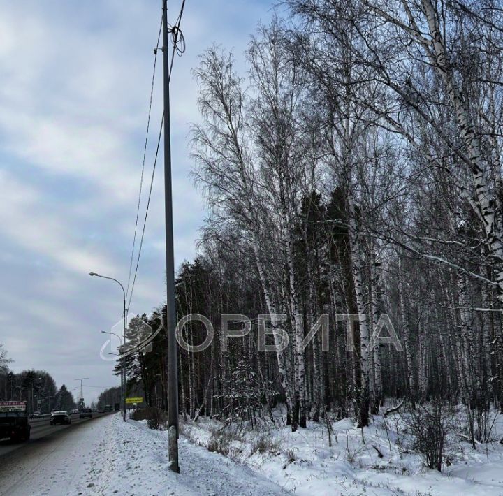 земля г Тюмень п Березняковский р-н Центральный ул Степана Колокольникова 44 фото 3