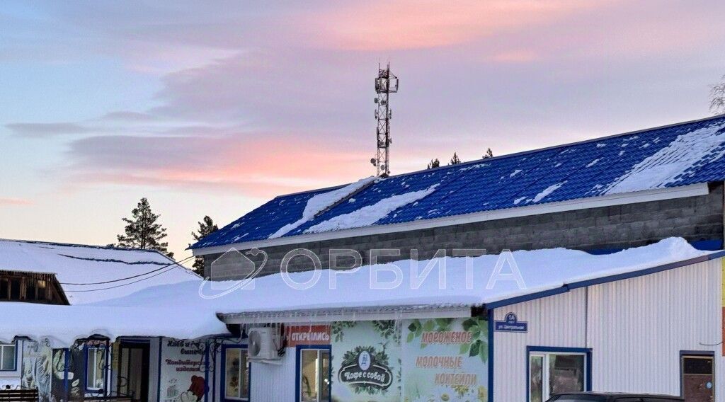 земля р-н Нижнетавдинский с Тюнево Тюневское сельское поселение фото 3