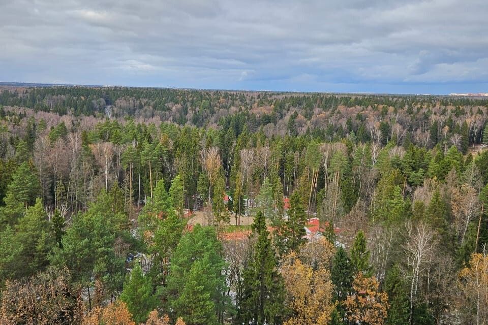 квартира г Красногорск ул Игоря Мерлушкина 2 Красногорск городской округ фото 8