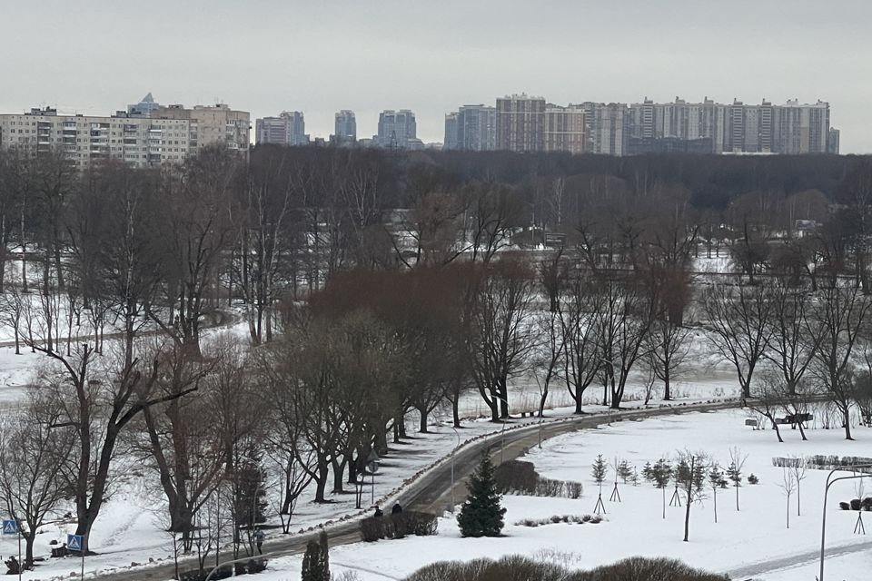 квартира г Санкт-Петербург р-н Прометей пр-кт Луначарского 88/1 Калининский фото 9