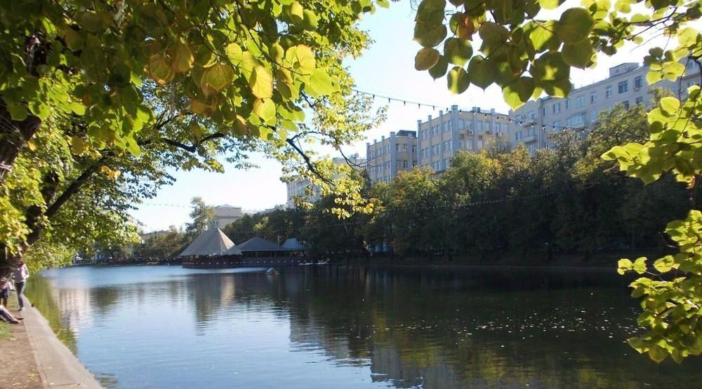 квартира г Москва метро Красные Ворота Бауманка ул Садовая-Черногрязская 16/18с 1 фото 16