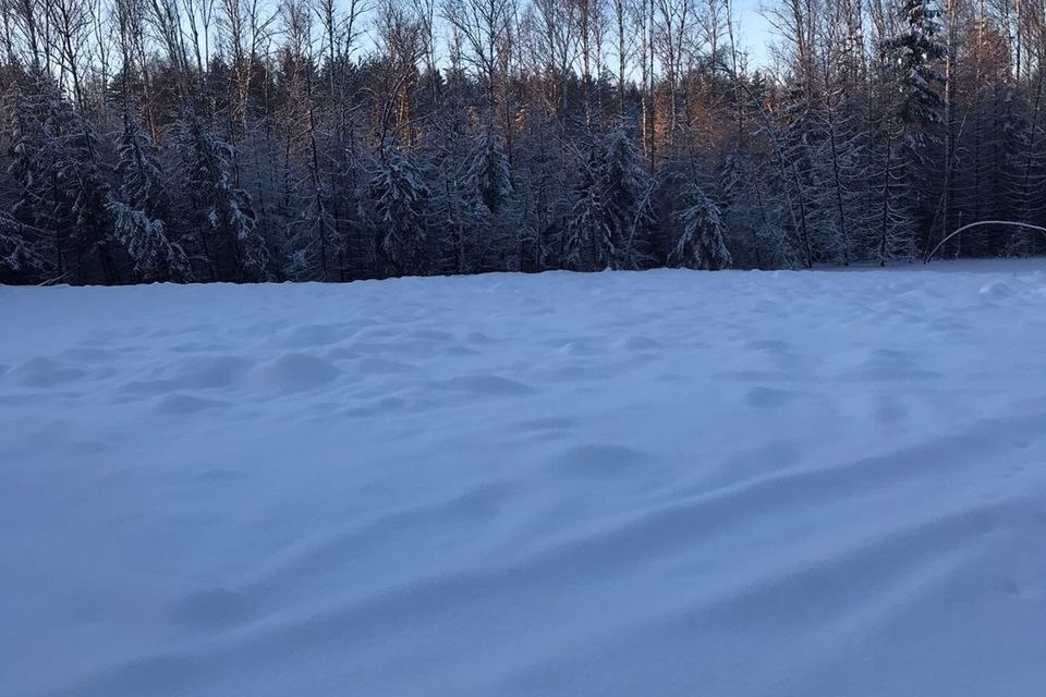 земля р-н Всеволожский днп Охтинское Раздолье, 2а фото 3