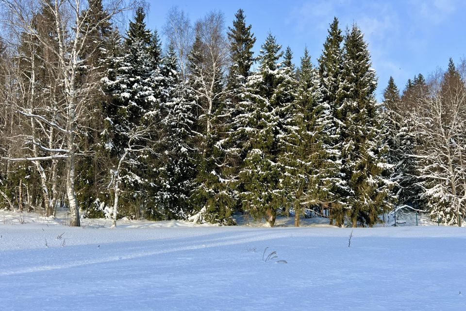 земля городской округ Дмитровский 5 Соток, 278 фото 5