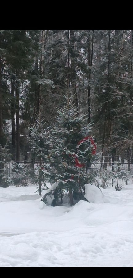 дом городской округ Истра п Глебовский 52 км, коттеджный пос. Лесницыно, 2-й Лесной пер., 204, Волоколамское шоссе фото 35