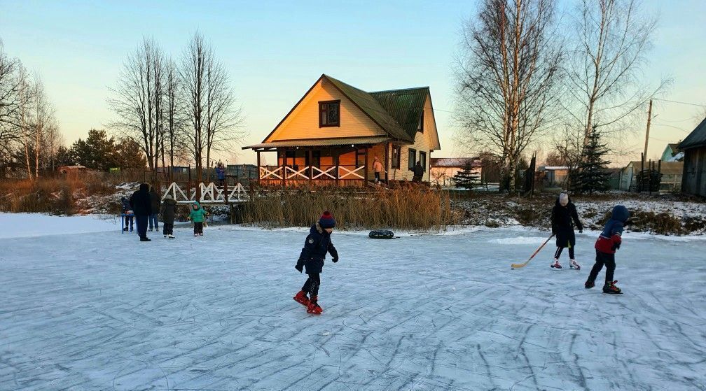 дом городской округ Раменский д Владимировка дп Калинка ул Центральная 271 фото 20