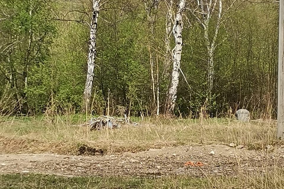 земля городской округ Бердск, Бердск фото 3