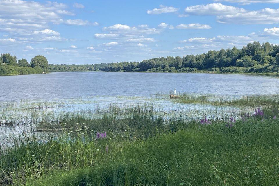 земля р-н Новгородский деревня Рышево фото 3