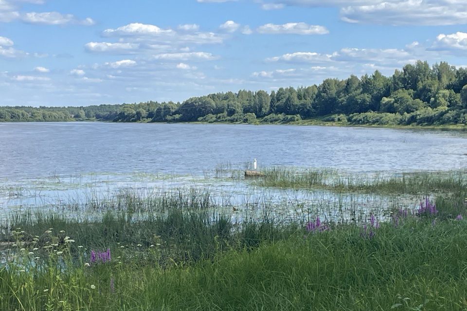 земля р-н Новгородский деревня Рышево фото 2