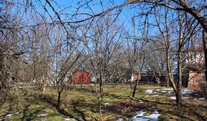 дом р-н Пригородный с Верхняя Саниба ул Плиева Республика Северная Осетия — Пригородный р-н, Гизель фото 23