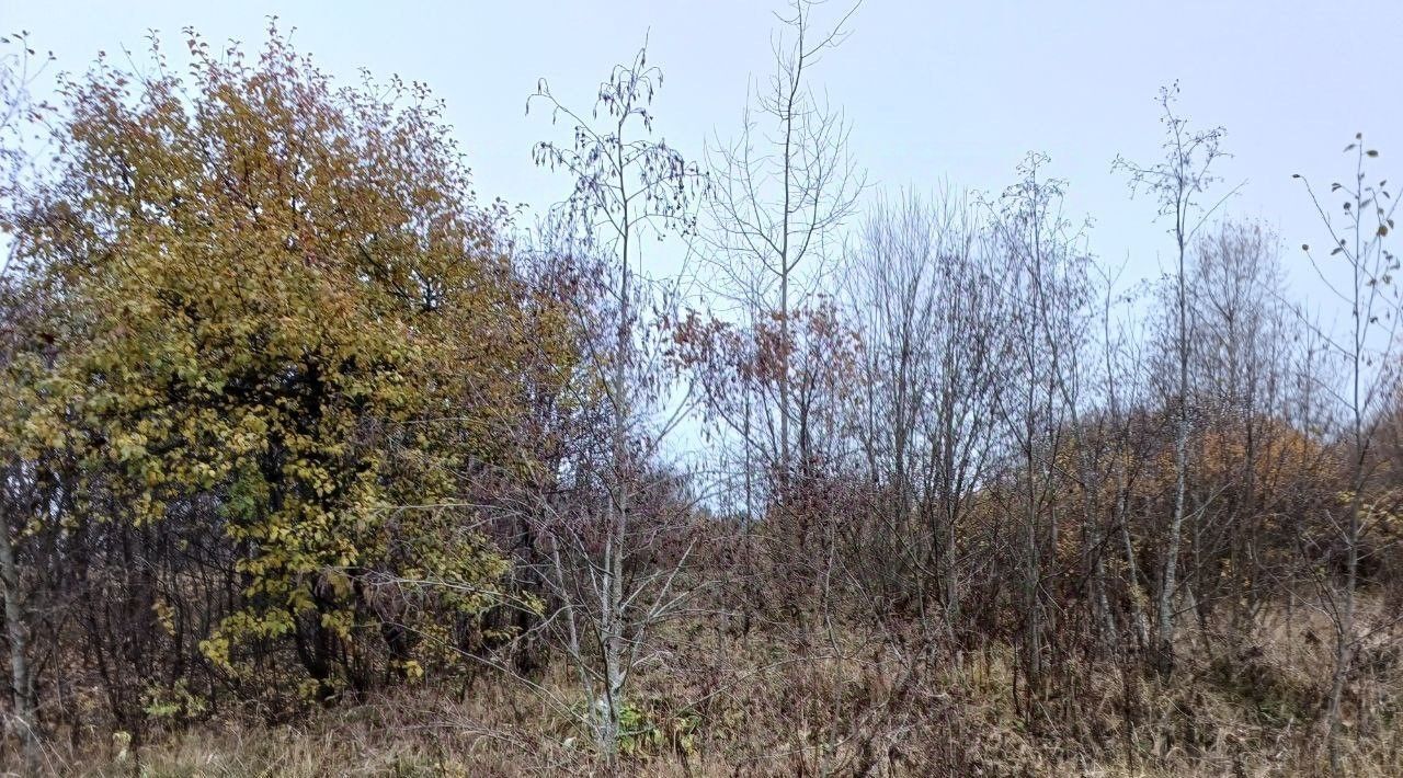 офис городской округ Сергиево-Посадский д Истомино 10 фото 1