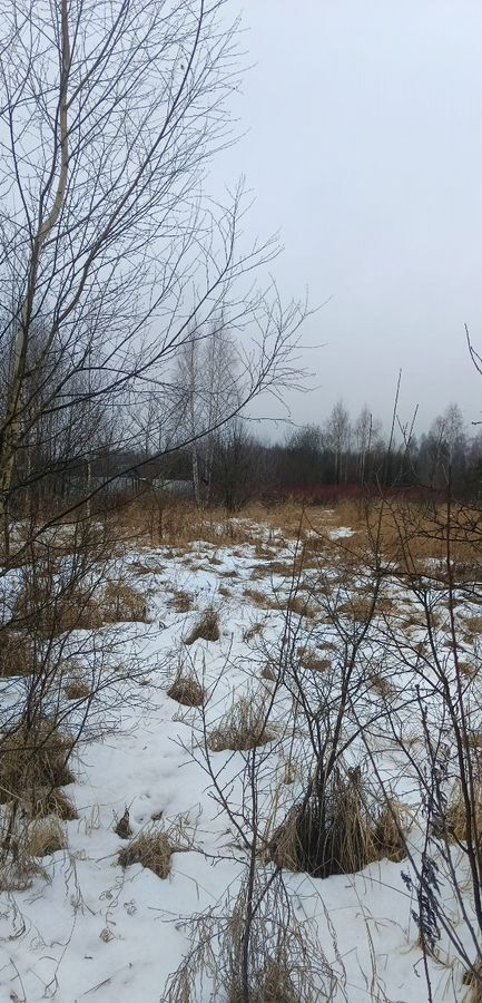 земля городской округ Орехово-Зуевский д Ненилово 66 км, 103, Давыдово, Егорьевское шоссе фото 2