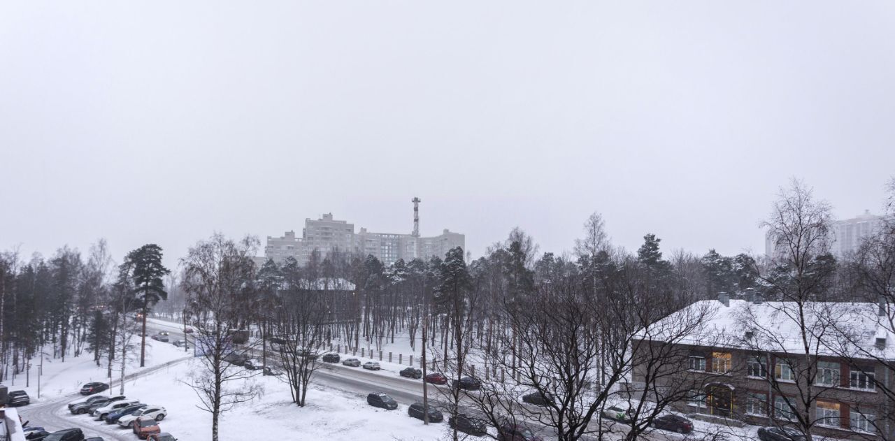 квартира г Санкт-Петербург метро Озерки пр-кт Тореза 118 округ Светлановское фото 21