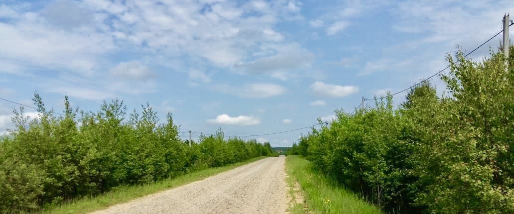 земля Переславль-Залесский городской округ, Залесье СНТ фото 3