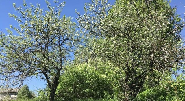 земля Переславль-Залесский городской округ фото