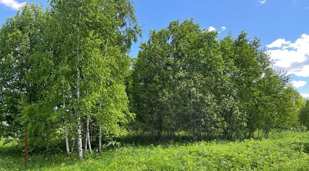 земля Переславль-Залесский городской округ, д. Савельево фото 1