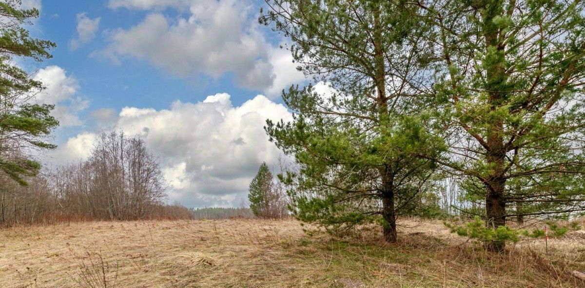 земля р-н Всеволожский д Озерки Приморское городское поселение, Выборгский район фото 2