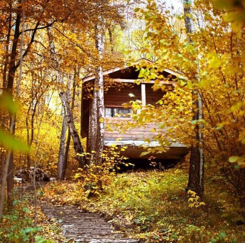 д Берхино ул Осетровая фото