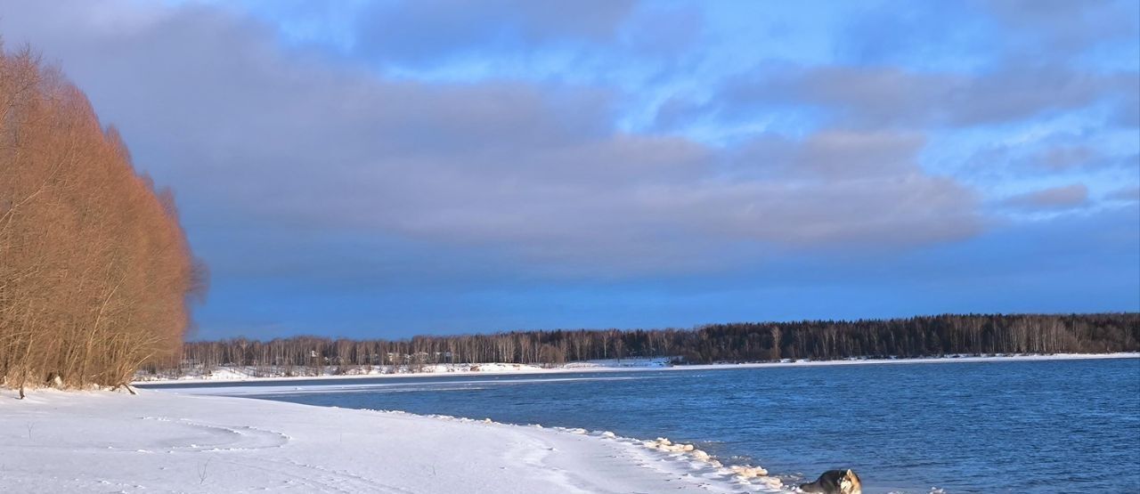 дом городской округ Можайский д Блазново фото 19