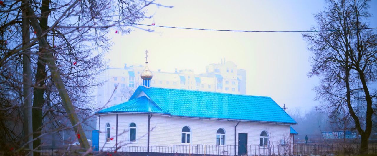 квартира г Орел р-н Заводской Новая Ботаника ул 5-й Орловской стрелковой дивизии 8 фото 21