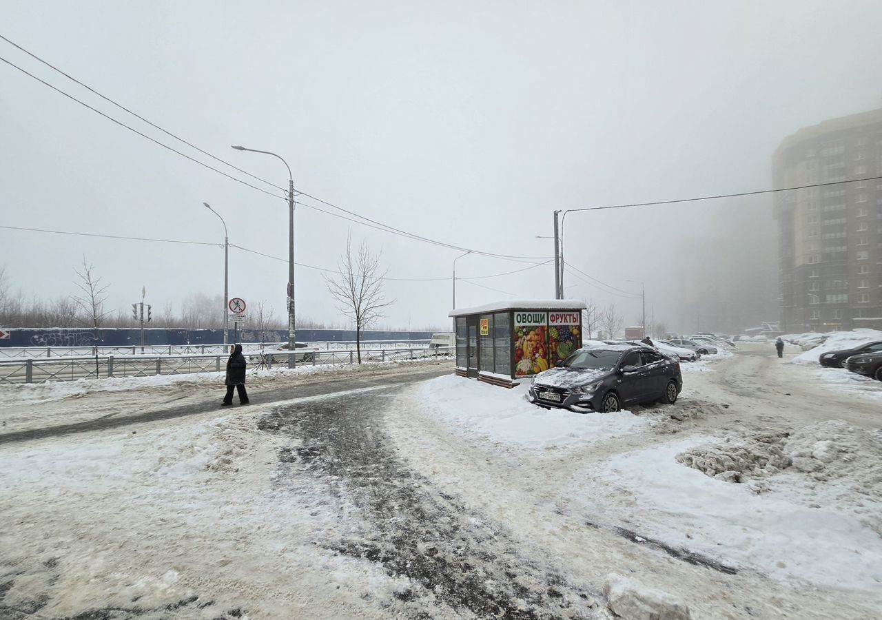 торговое помещение г Санкт-Петербург п Парголово ул Николая Рубцова 13 метро Парнас фото 2