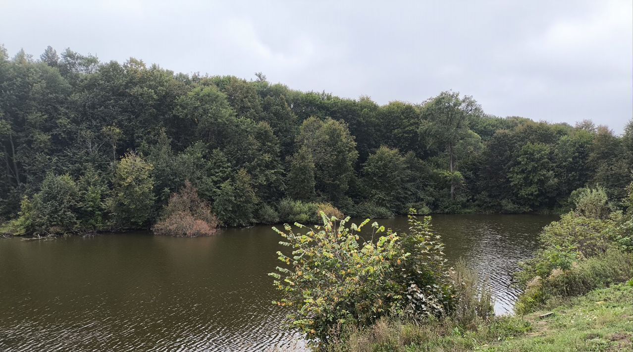 земля городской округ Кашира д Тарасково ул Комсомольская фото 1