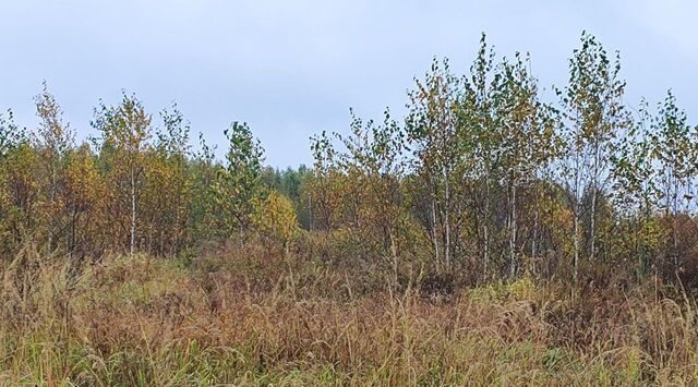 городской округ Раменский д Володино фото