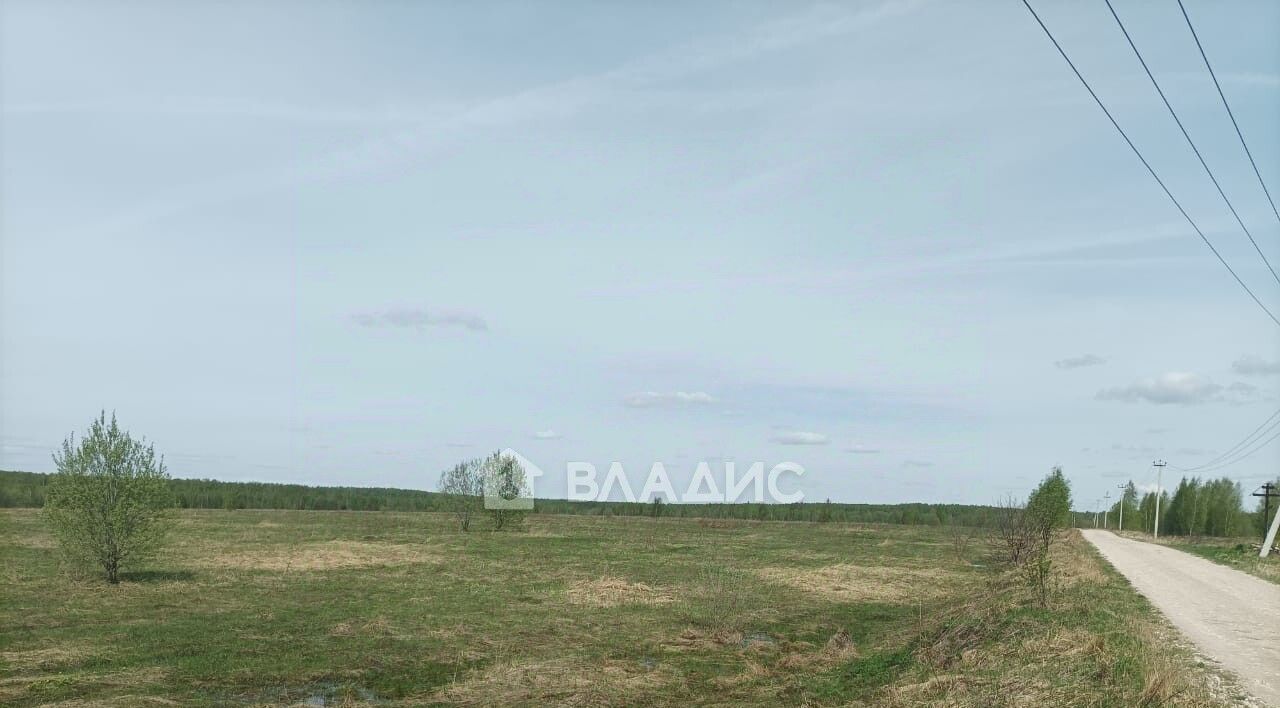офис р-н Суздальский д Нежитино Новоалександровское муниципальное образование фото 1