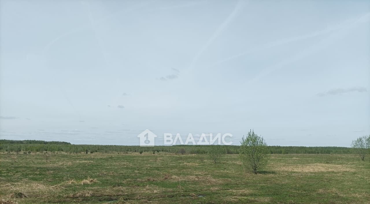 офис р-н Суздальский д Нежитино Новоалександровское муниципальное образование фото 2