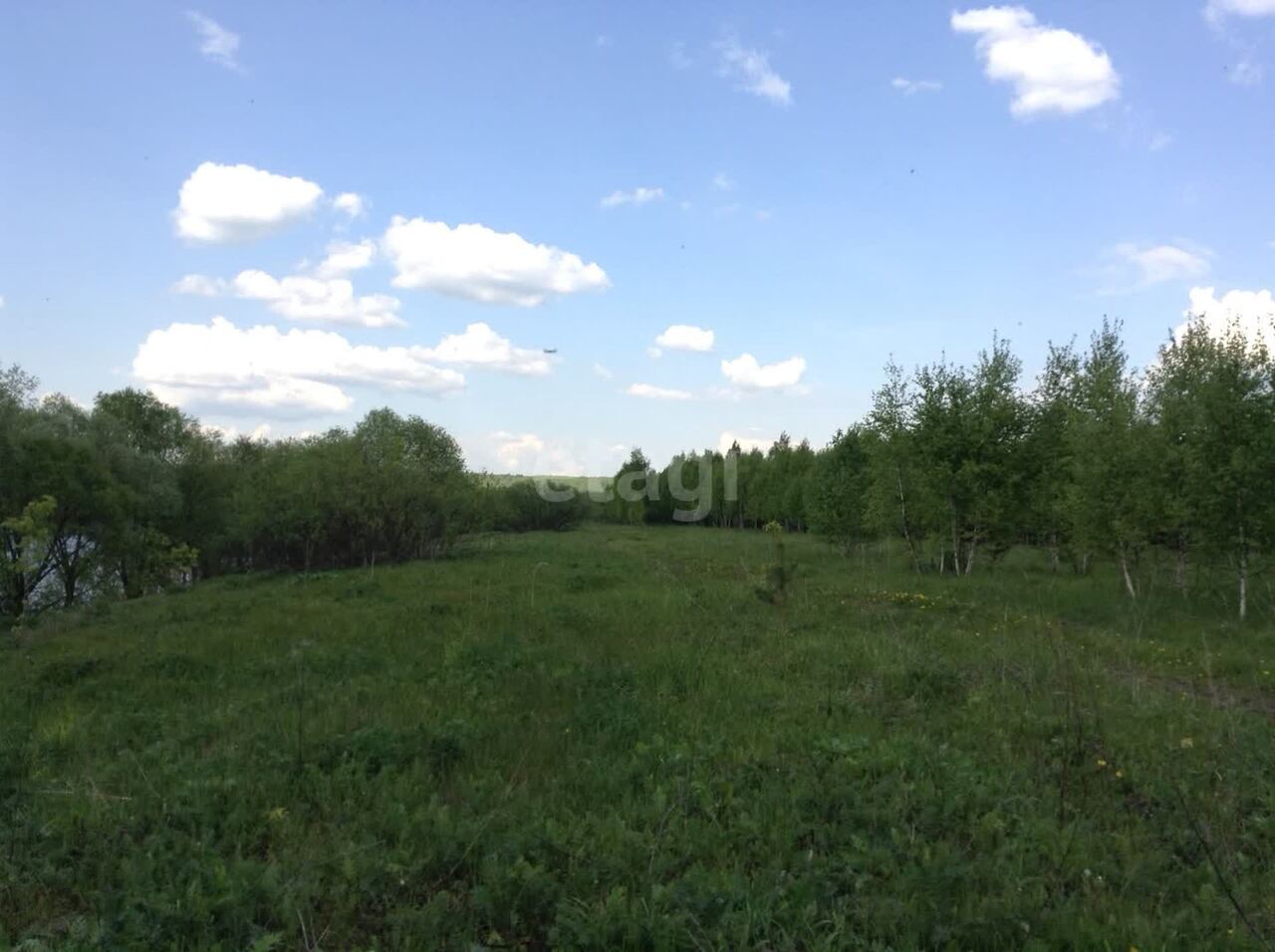 земля городской округ Орехово-Зуевский д Алексеевская Алексеевская, Серпухов фото 9