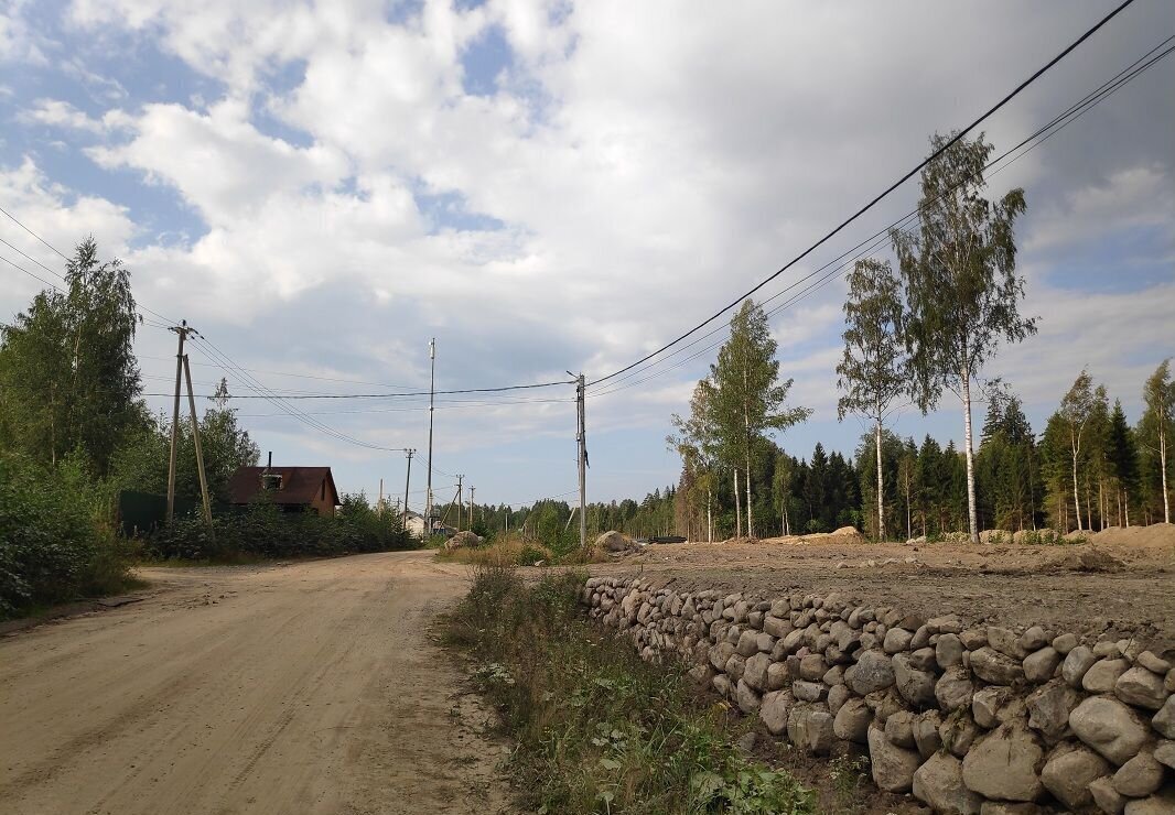 земля р-н Приозерский п Саперное Трасса Сортавала, 77 км, Ромашкинское сельское поселение, садовое некоммерческое товарищество Ромашкинские усадьбы, ул. Александра Блока, 1 фото 4