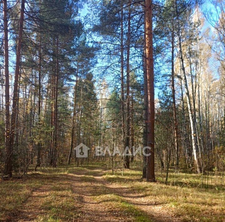 земля р-н Судогодский д Богданцево Лавровское муниципальное образование фото 3