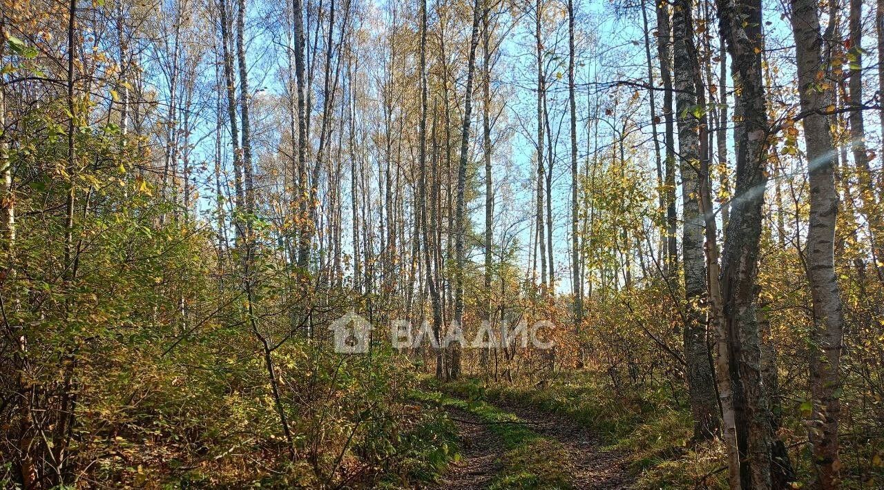 земля р-н Судогодский д Богданцево Лавровское муниципальное образование фото 3