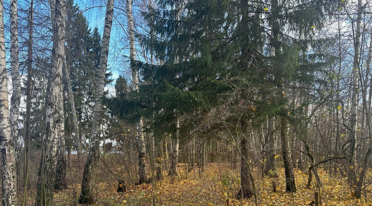 земля городской округ Дмитровский пос. Совхоза Останкино, Лобня фото 2