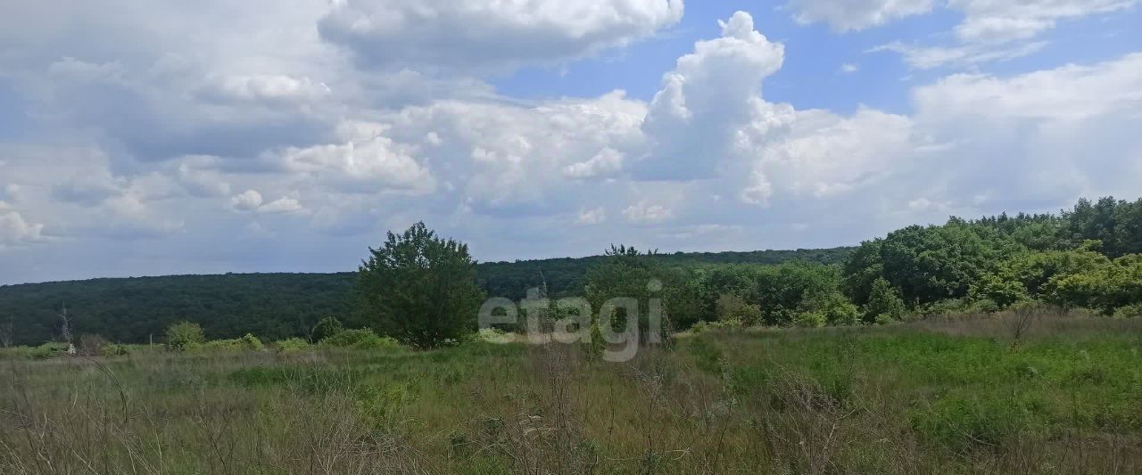 земля р-н Белгородский Беломестненское с/пос, Родничок СНТ фото 3