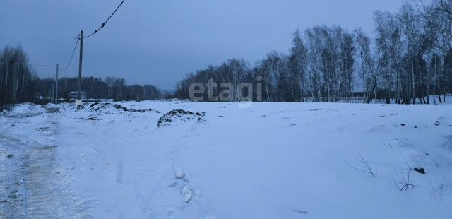 Станционный сельсовет, Заельцовская фото