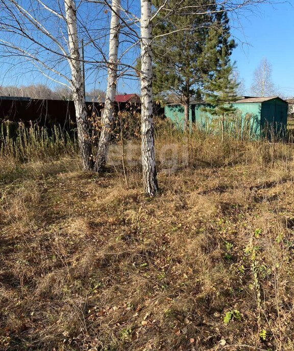 земля р-н Новосибирский снт Надежда-2 Барышевский сельсовет фото 3