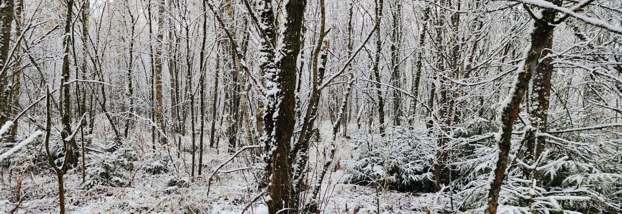 земля городской округ Наро-Фоминский Хариус садовое товарищество, ул. Речная фото 6